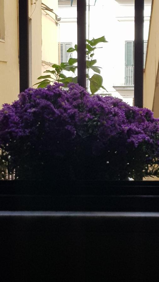 Il Giardino Sul Corso Daire Scafati Dış mekan fotoğraf