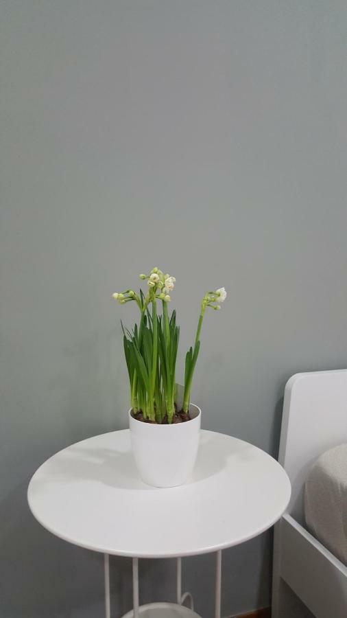 Il Giardino Sul Corso Daire Scafati Dış mekan fotoğraf